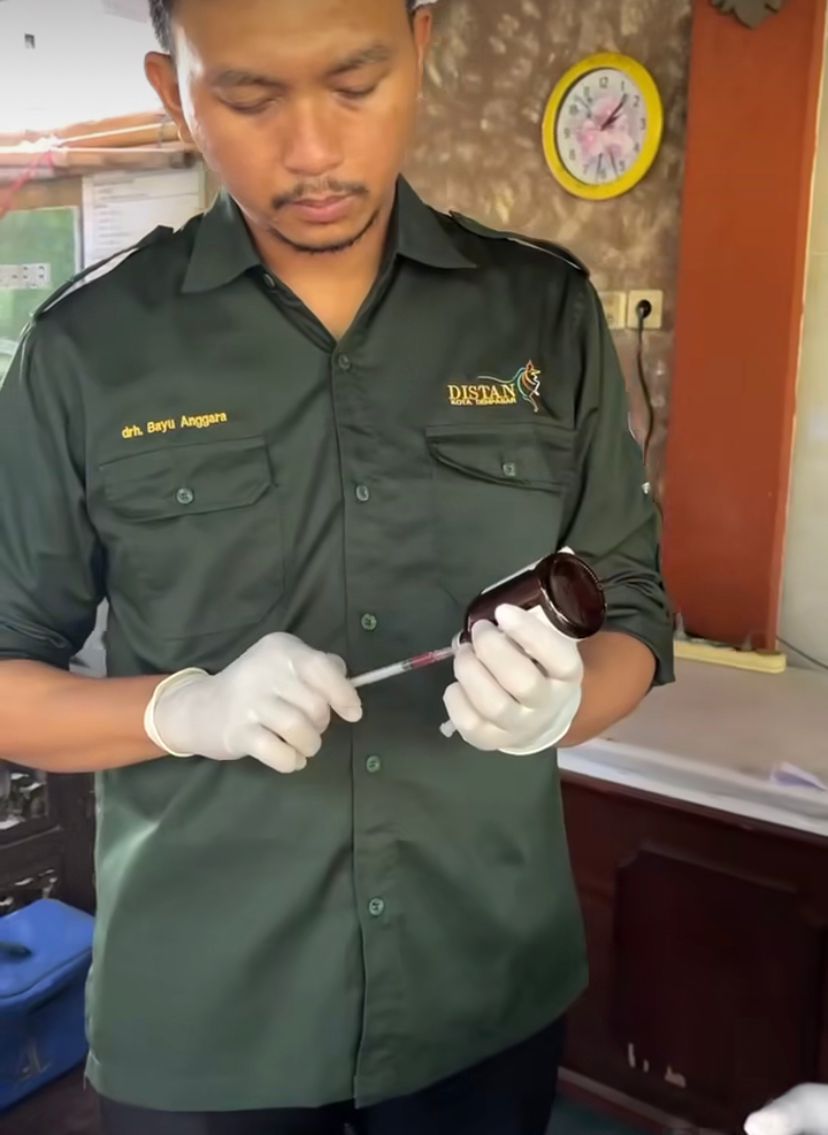 Kegiatan Safari Kesehatan Hewan