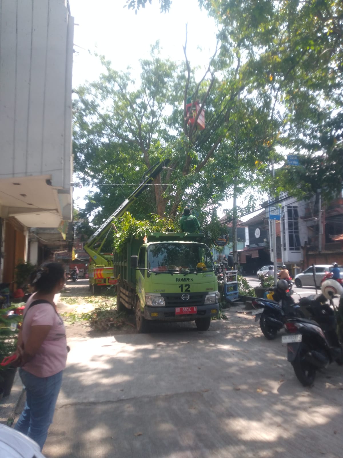 Perompesan Pohon di Sepanjang Jalan DIponegoro